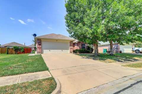 3629 Beatriz Drive, Denton, TX 76207