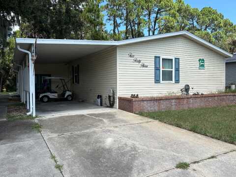 243 Osprey lane, Flagler Beach, FL 32136