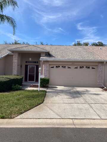 1217 Wolford Drive, Trinity, FL 34655