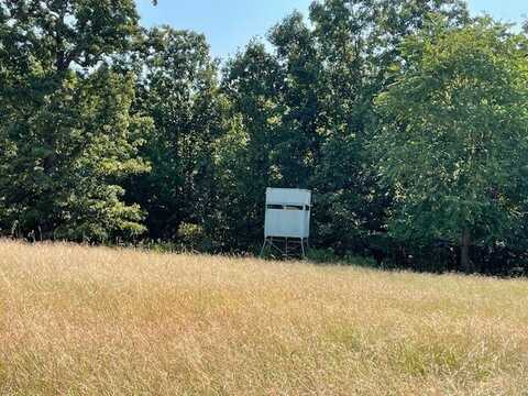 1100 Squirrel Hill, Glencoe, AR 72539