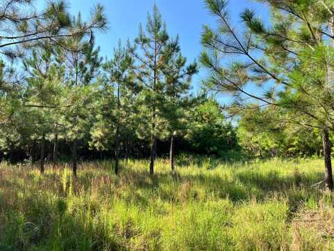 -- Dendy Bridge Road, Greenwood, SC 29819