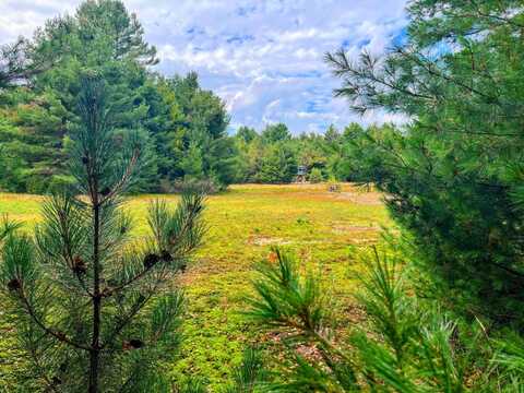 00 Streeter Rd, Gouverneur, NY 13648