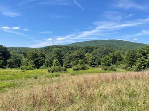 0 Stevenson Hill Rd, New Albany, PA 18833