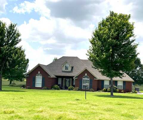 11725 S Pecan Bottom Rd, Tishomingo, OK 73460