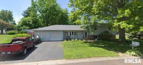 203 DALE Drive, Havana, IL 62644