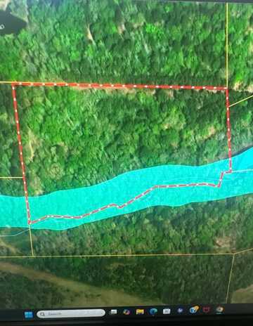 0 Private Road 5772, GRAPELAND, TX 75844