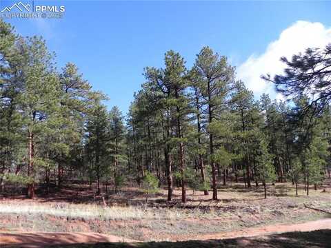 4467 Delaware Drive, Larkspur, CO 80118