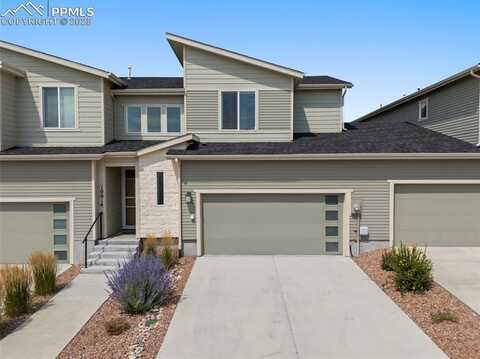 10014 Poppy Mallow Point, Colorado Springs, CO 80924
