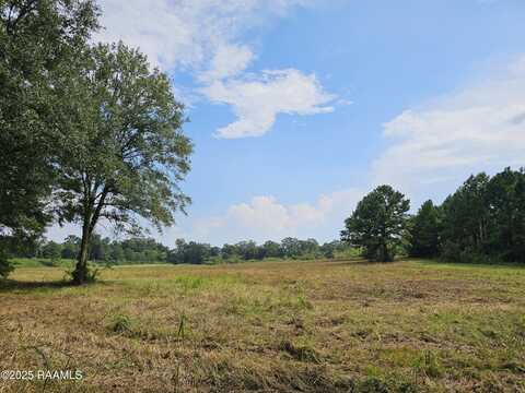 500 Blk E Musique Road, Carencro, LA 70520