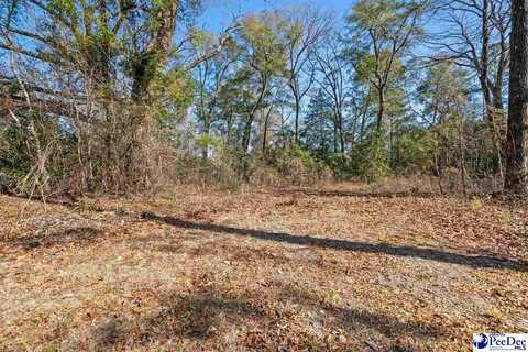 3090 Cobblestone St., Florence, SC 29506