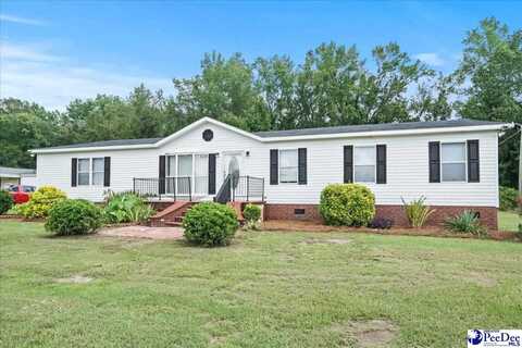2230 Ashford Drive, Effingham, SC 29541