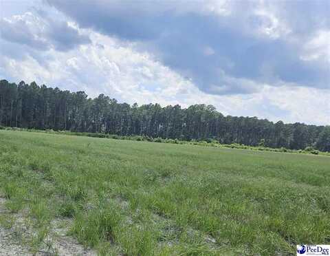 Lot 11 Sunset Drive, Latta, SC 29565