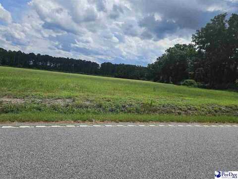 Lot 2-6 Sunset Drive, Latta, SC 29565