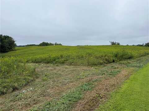 0 Nyen Road, Blair, WI 54616