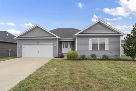 823 China Tree Way, Bowling Green, KY 42101