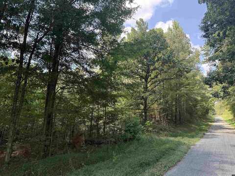 Fancy, Dresden, TN 38225