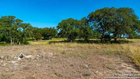 425 George Dolson, Blanco, TX 78606