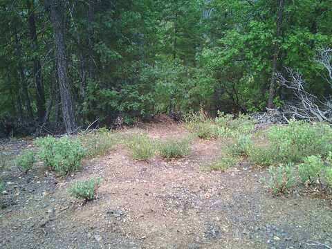 XOX Ditch Creek Rd., Hornbrook, CA 96044