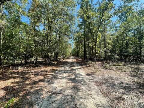 01 OLD AUGUSTA RD, Clyo, GA 31303