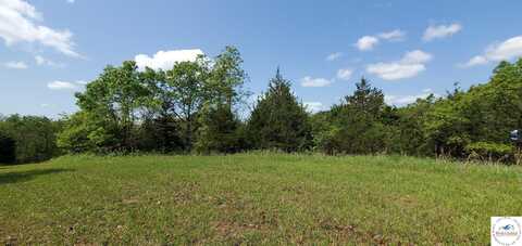 Lots 3722,3723 Ahlstrom, Edwards, MO 65326