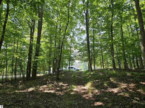 TBD Willsey Road, Traverse City, MI 49686
