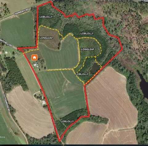 1168 Mitchell Road (112 Acres), Meigs, GA 31765