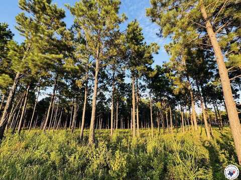 TBD 3659, Queen City, TX 75572