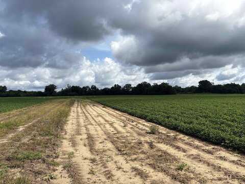 Hardaway Highway, Gretna, FL 32332
