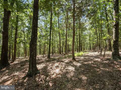 000 LIGHT ROAD, WINCHESTER, VA 22603