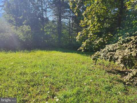 LOT 79 MYSTIC MOUNTAIN BOULEVARD, DELRAY, WV 26714