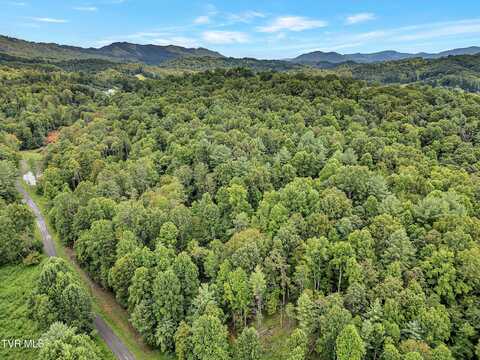 Tbd Holly Hill Drive, Unicoi, TN 37692