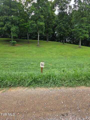 Lot 36 Summerfield Drive, Butler, TN 37640