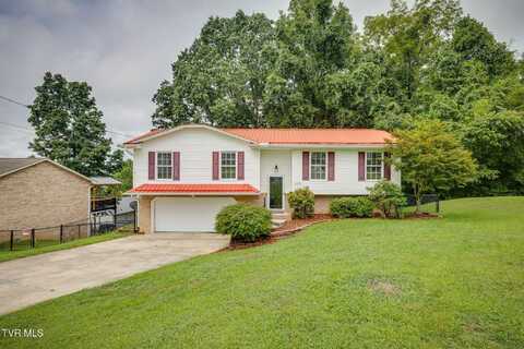 1008 Bryan Court, Kingsport, TN 37660