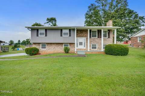 417 Old Hickory Circle, Mount Carmel, TN 37645