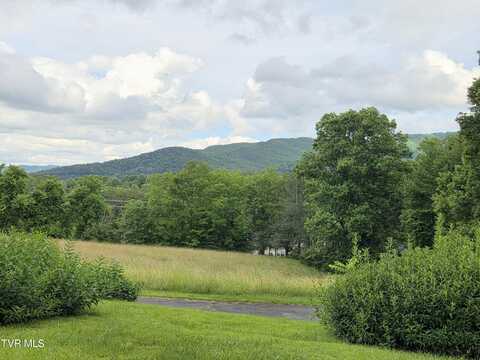 1504 Southwest Avenue, Johnson City, TN 37604