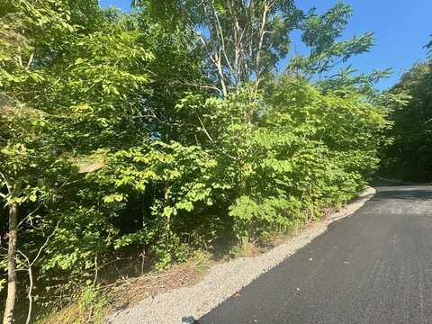 617 North Pointe Tr, ALLONS, TN 38541
