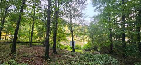 LOT 3 SHELBY SHORES, Crane Hill, AL 35053