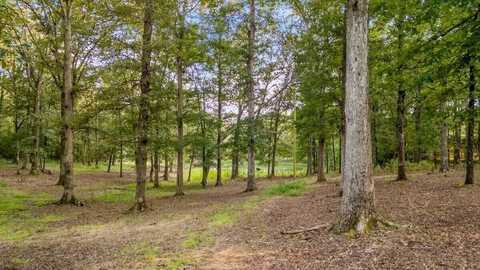 237 ALVIS Rd, Eldridge, AL 35554