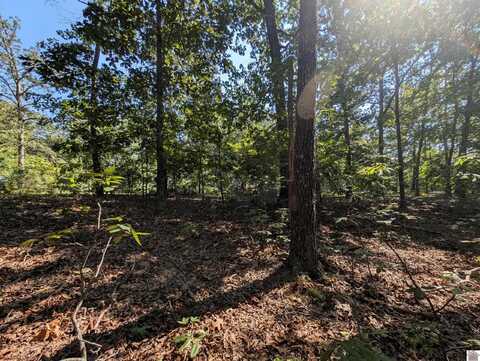 Lot 130 Eagle Look Lane, Murray, KY 42071