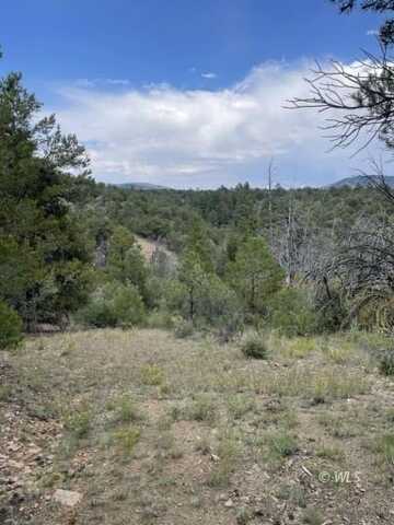 TBD Navajo Lot 188 Dr, Canon City, CO 81212