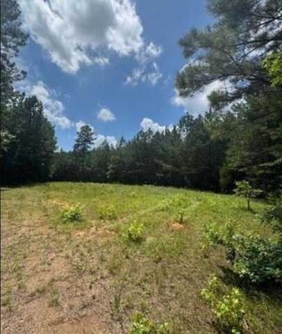 Lot N Old Edgefield Road, Ninety Six, SC 29666