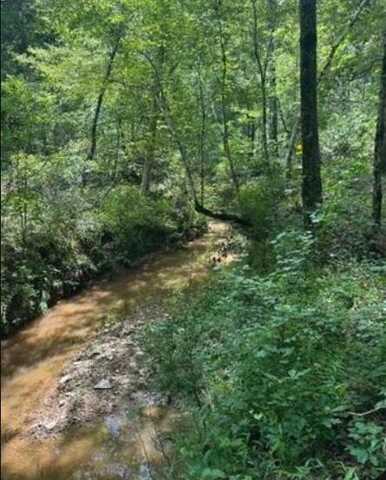 Lot L Old Edgefield Road, Ninety Six, SC 29666