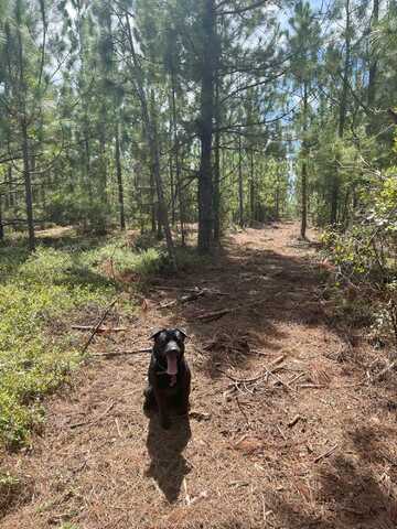 Ppf 5 Payne Pond Road, Kershaw, SC 29067