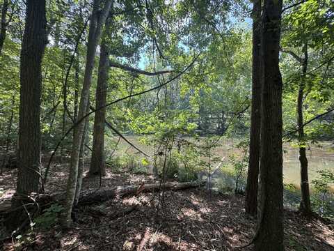 Lot 2 Cardinal Drive, Trenton, SC 29847
