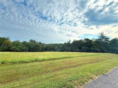 TBD Mount Carmel Rd. W, London, AR 72847