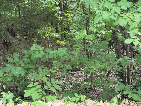 Plymouth DR, Bella Vista, AR 72715