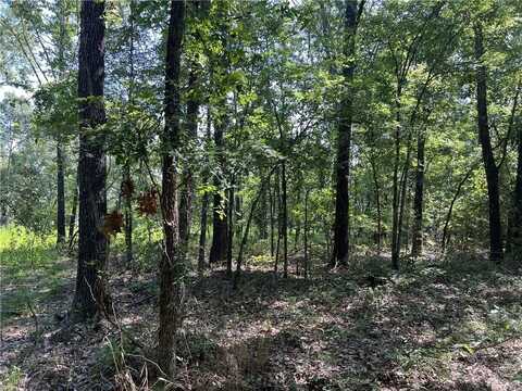 47 Cedar Creek DR, Harrison, AR 72601