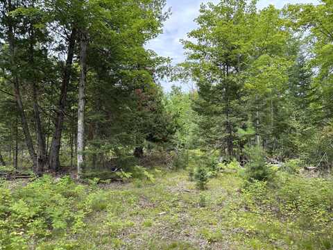 NHN Misiak Highway, Presque Isle, MI 49777
