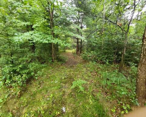 5310 Michigan Highway, Roscommon, MI 48653