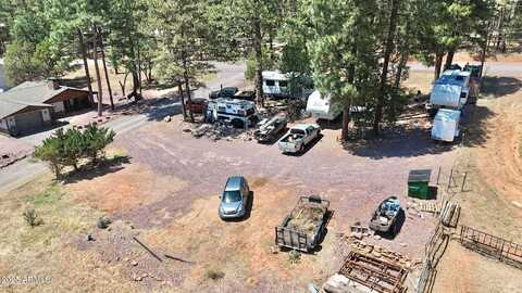 4991 N OLD SPRUCE Drive, Pine, AZ 85544